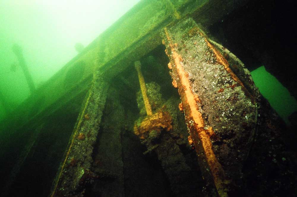 Vedenalaisia kuvia sukeltamisesta coolaroon koneelle