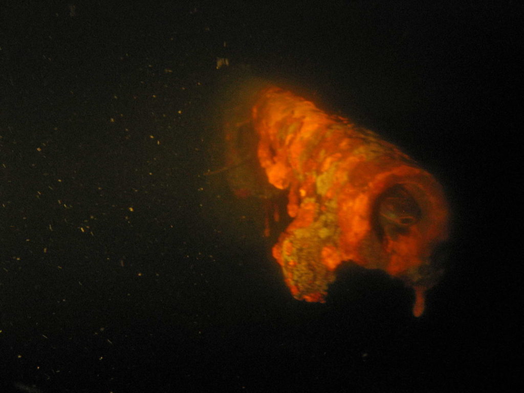 MFP-498 ilmatorjuntatykki