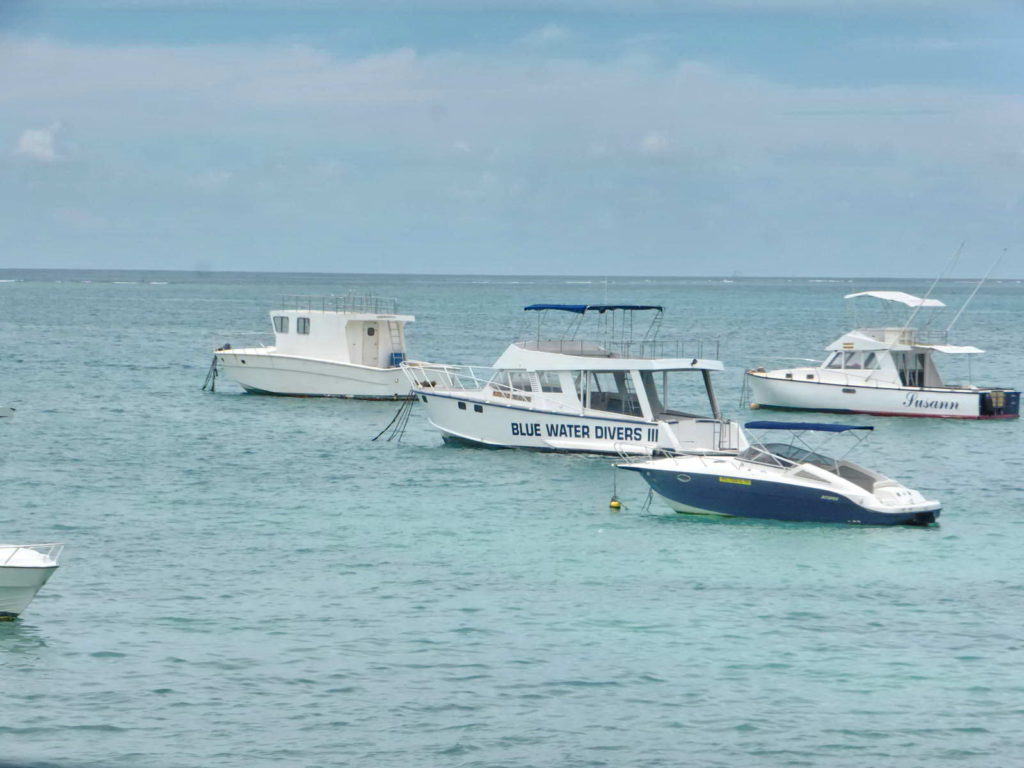Mauritius blue water driver