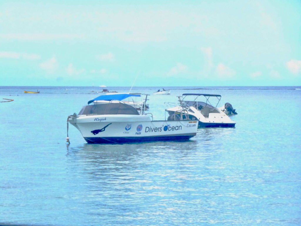 Divers Ocean mauritius vene