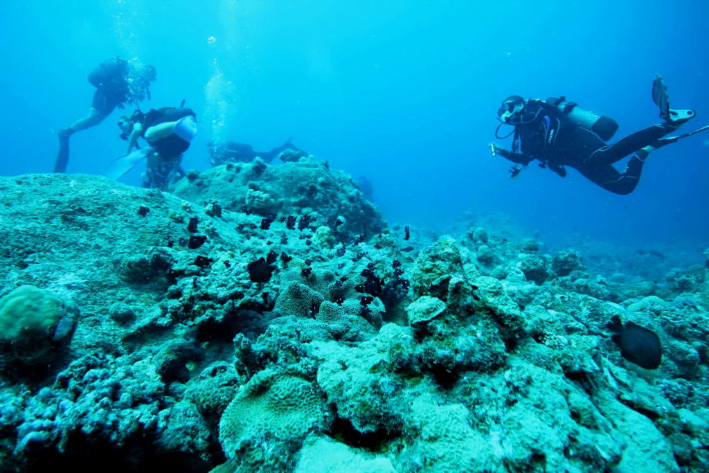 Diving Mauritius Caravelle