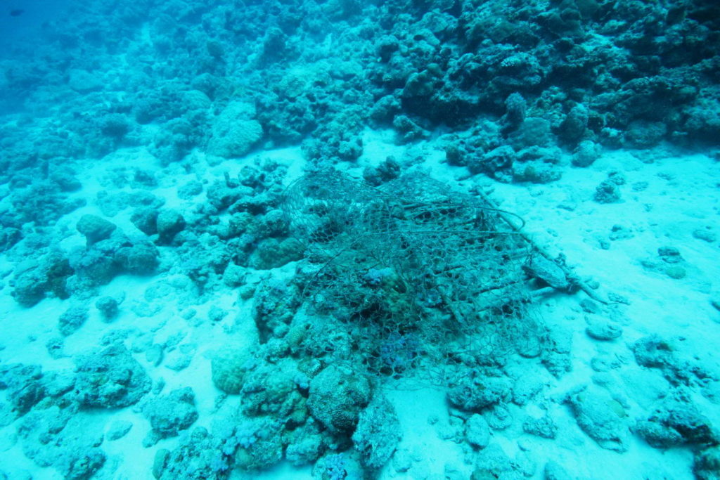 Diving Mauritius Caravelle
