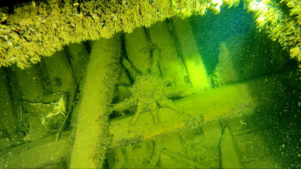 Jukka nimisen hylyn ruori