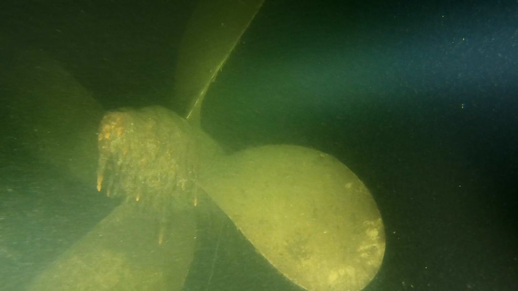 Königin Luise potrkuri