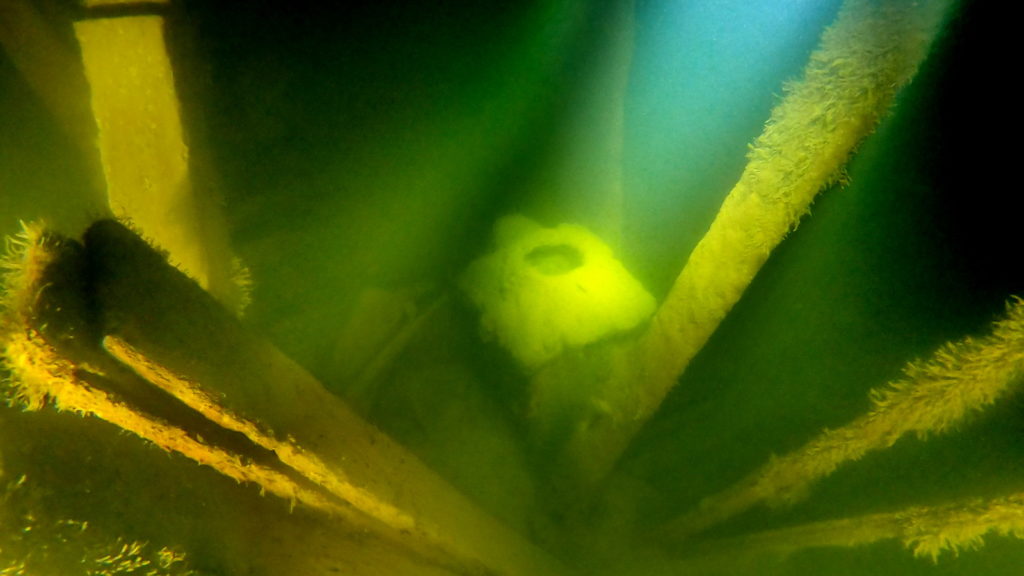 Purjelaiva Martta. Kamiina