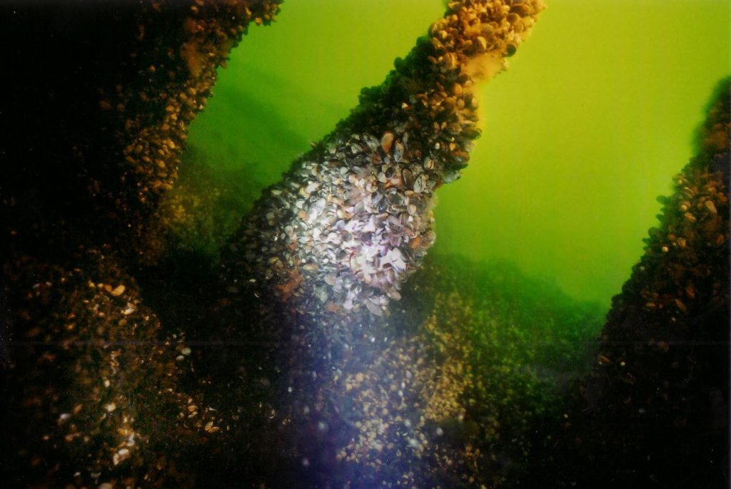 Sukeltaminen virossa hylyt