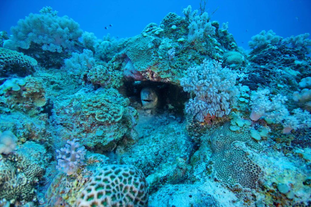 Mauritius-SUK7-IMG_04