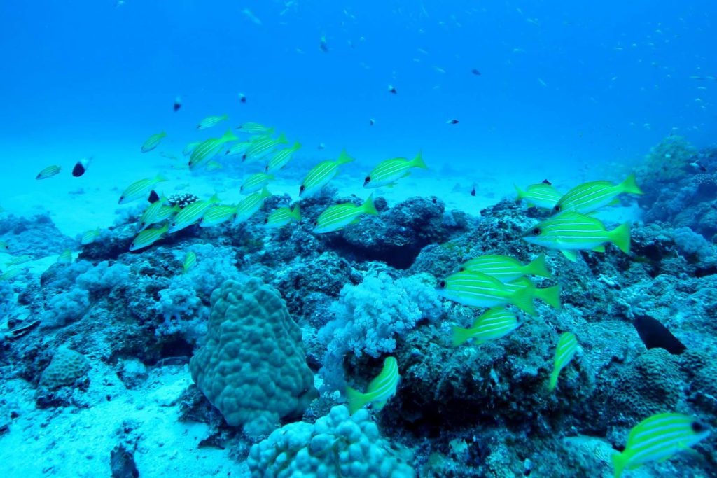 Mauritius-SUK7-IMG_05