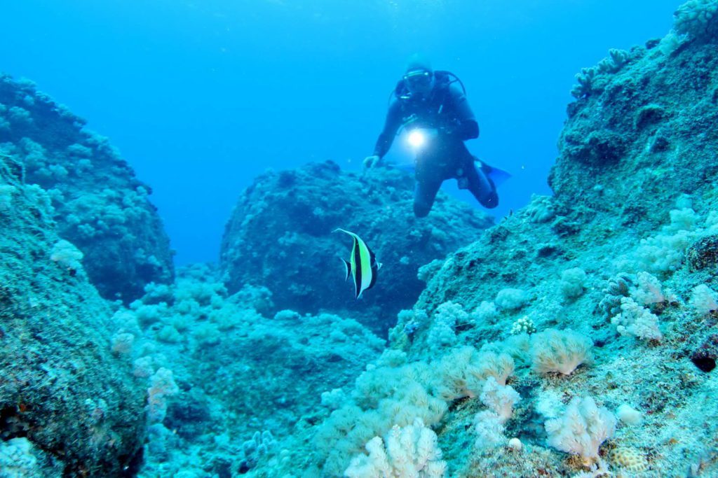 Mauritius-SUK7-IMG_12