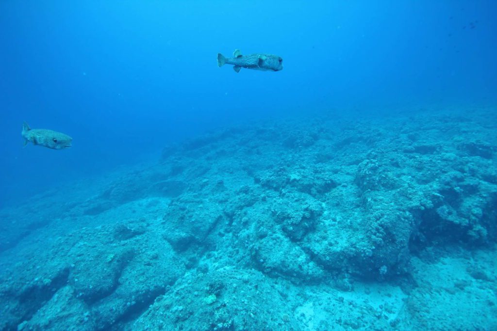 Mauritius-SUK7-IMG_13