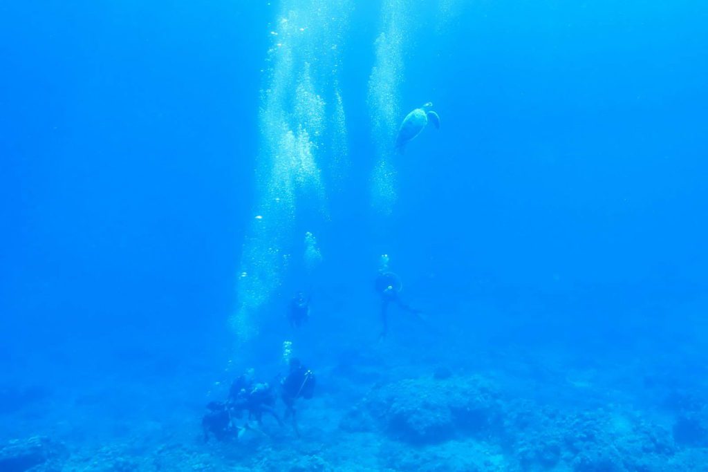 Mauritius-SUK7-IMG_15