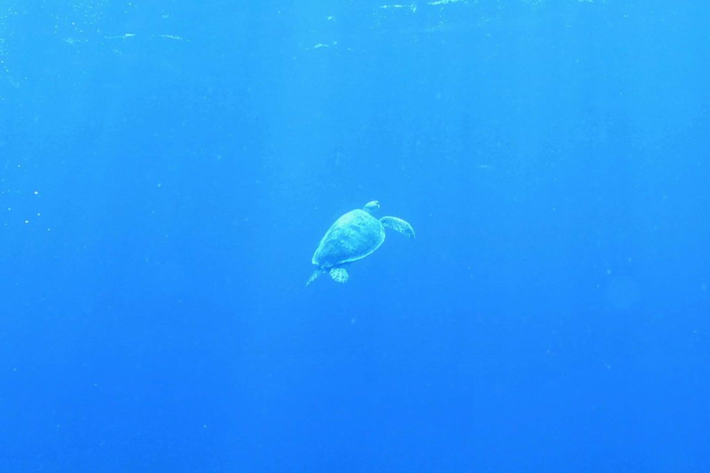 Mauritius-SUK7-IMG_16