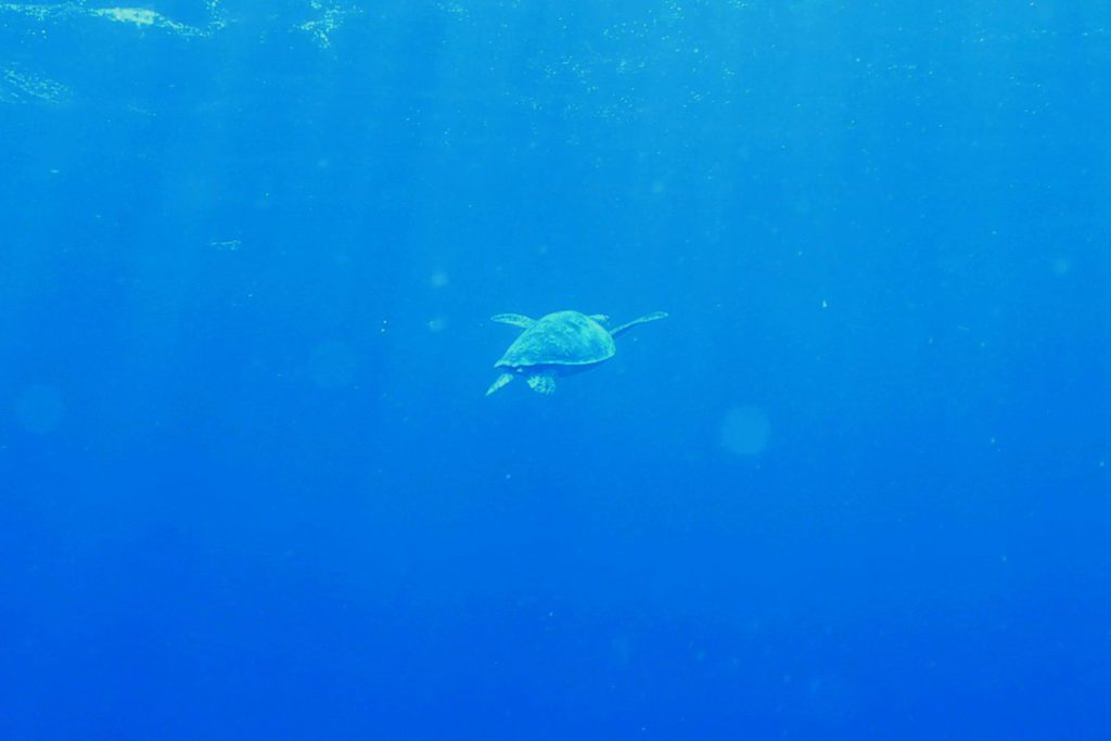 Mauritius-SUK7-IMG_17