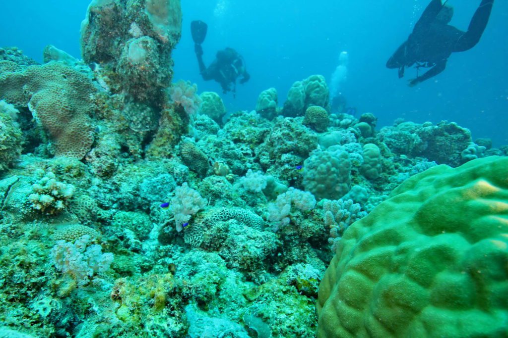 Mauritius-SUK8-GAL_02