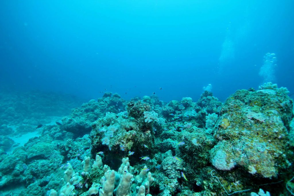 Mauritius-SUK8-GAL_03