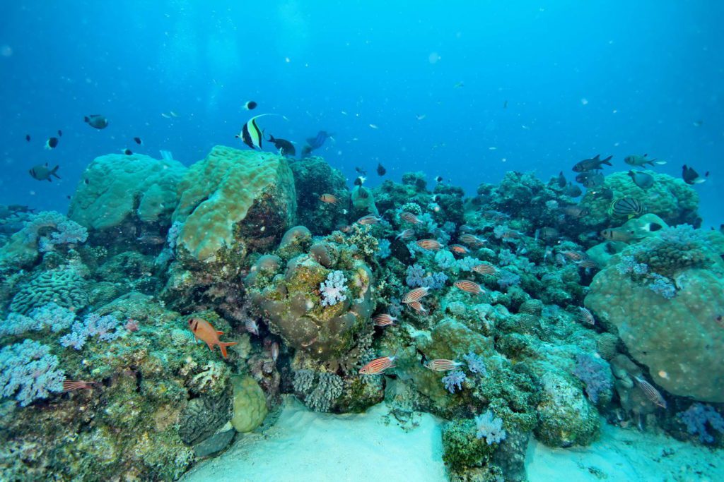 Mauritius-SUK8-GAL_07