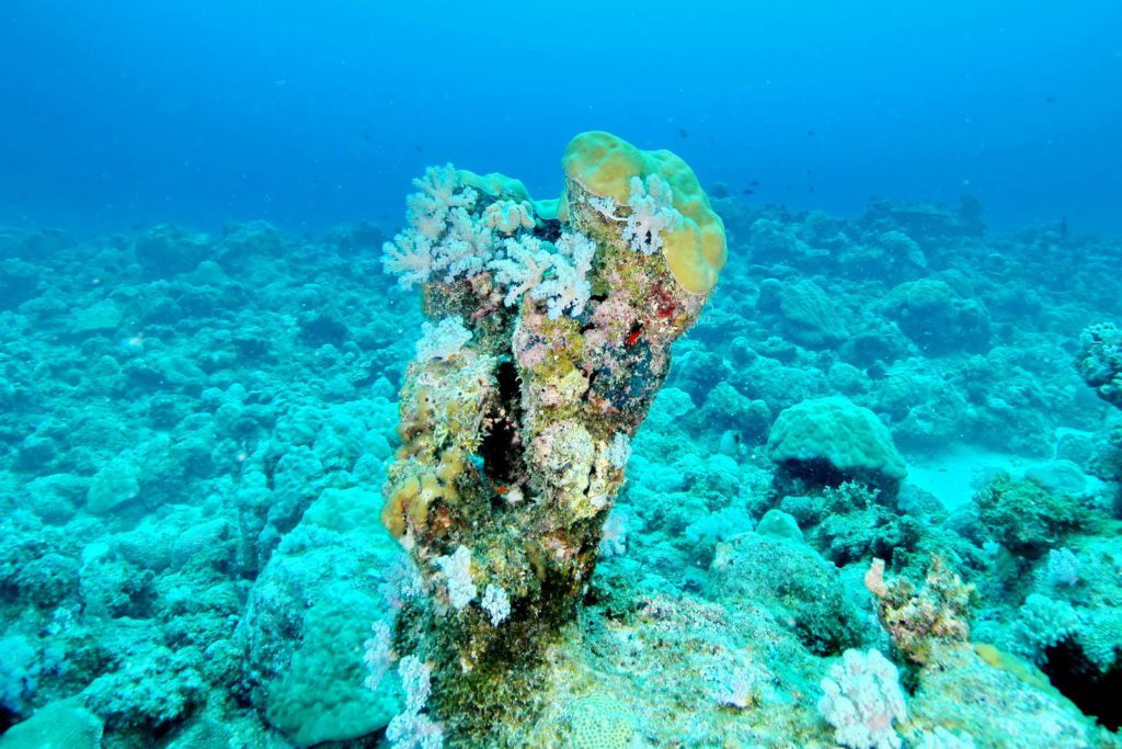 Mauritius-SUK8-GAL_08