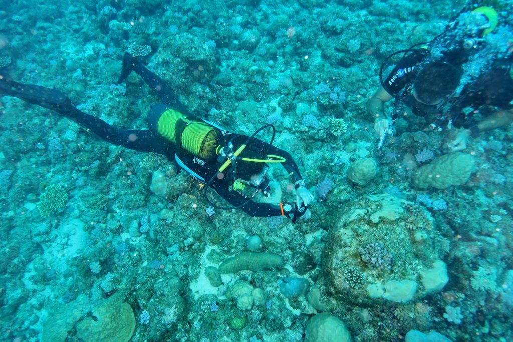 Mauritius-SUK8-GAL_09