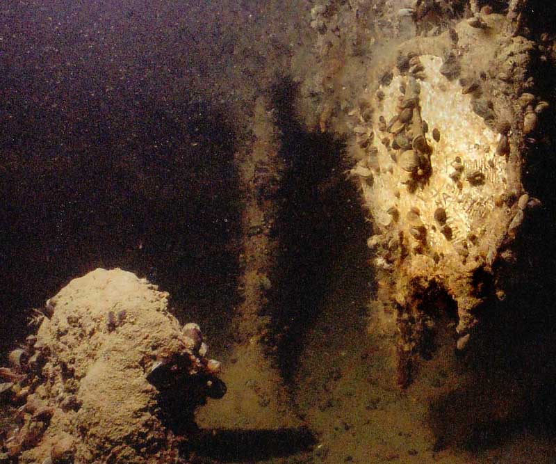 Sukeltaminen virossa hylyt