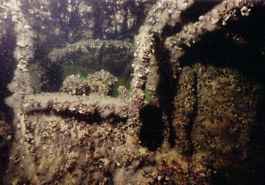 Sukeltaminen virossa hylyt