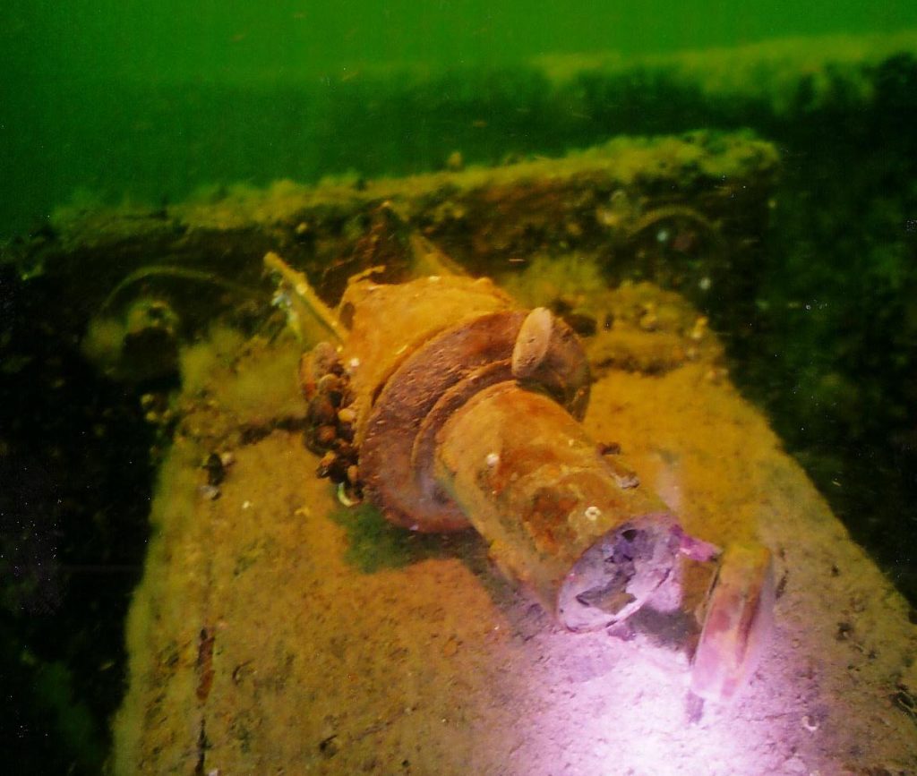 hinaaja heino lamppu