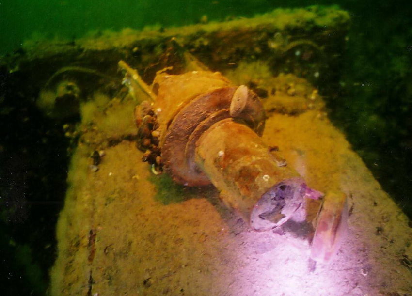 Sukeltaminen virossa