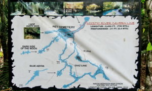 Meksiko cavern pet sementry